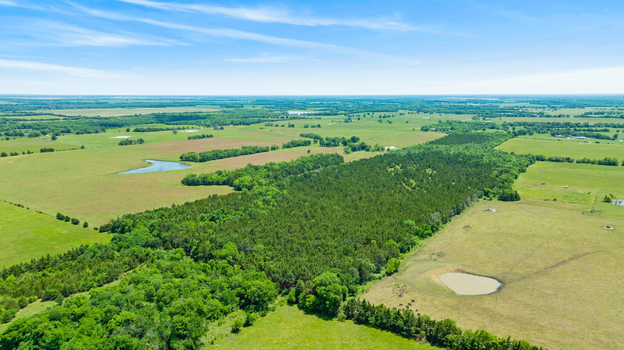 TBD County Road 15220
