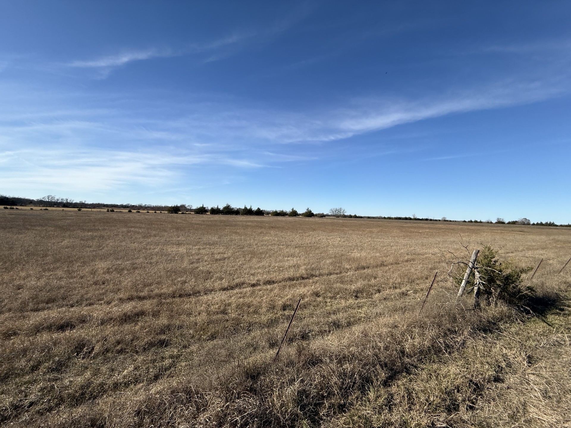 TBD Count Road 15540