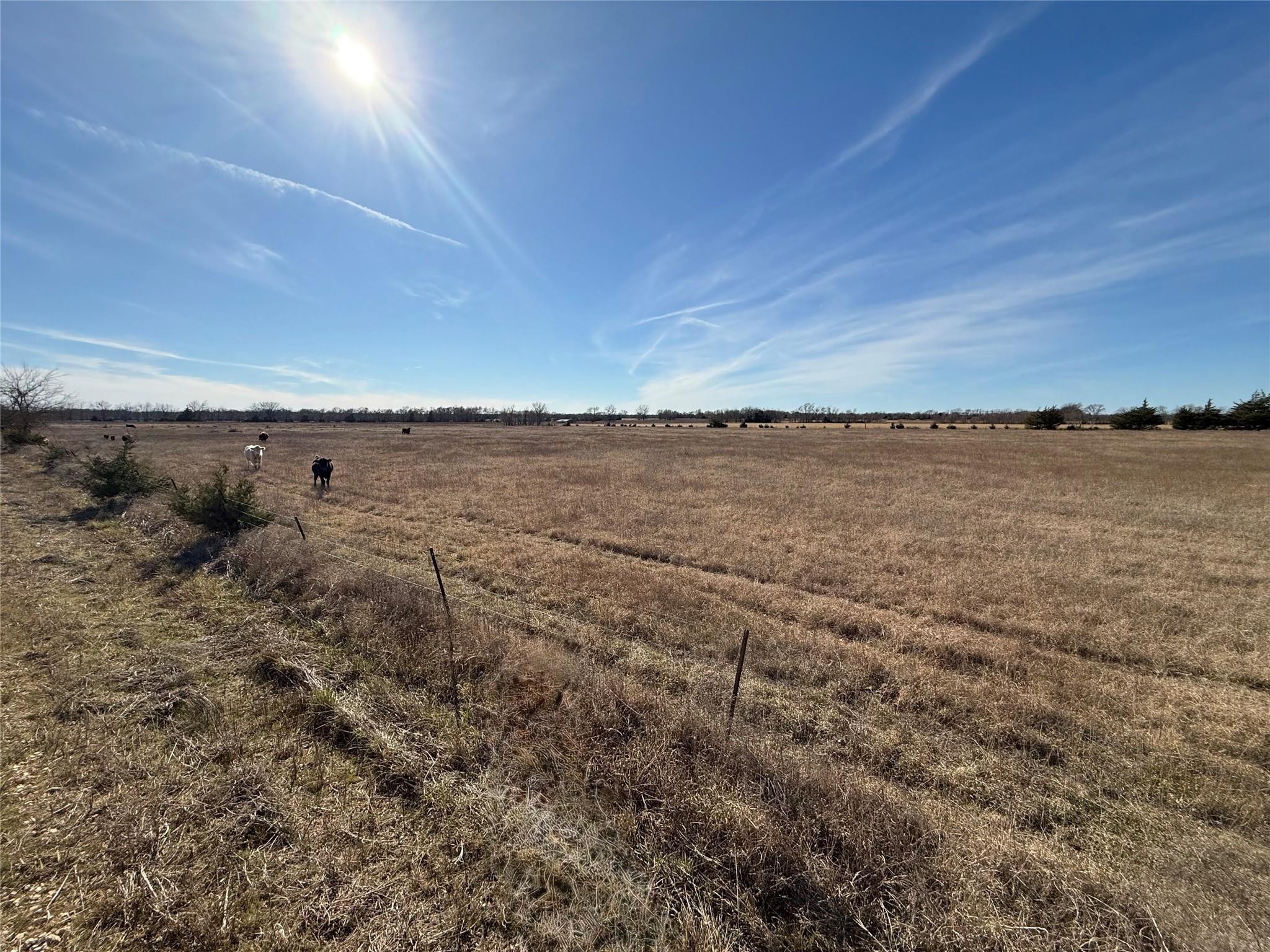TBD Count Road 15540
