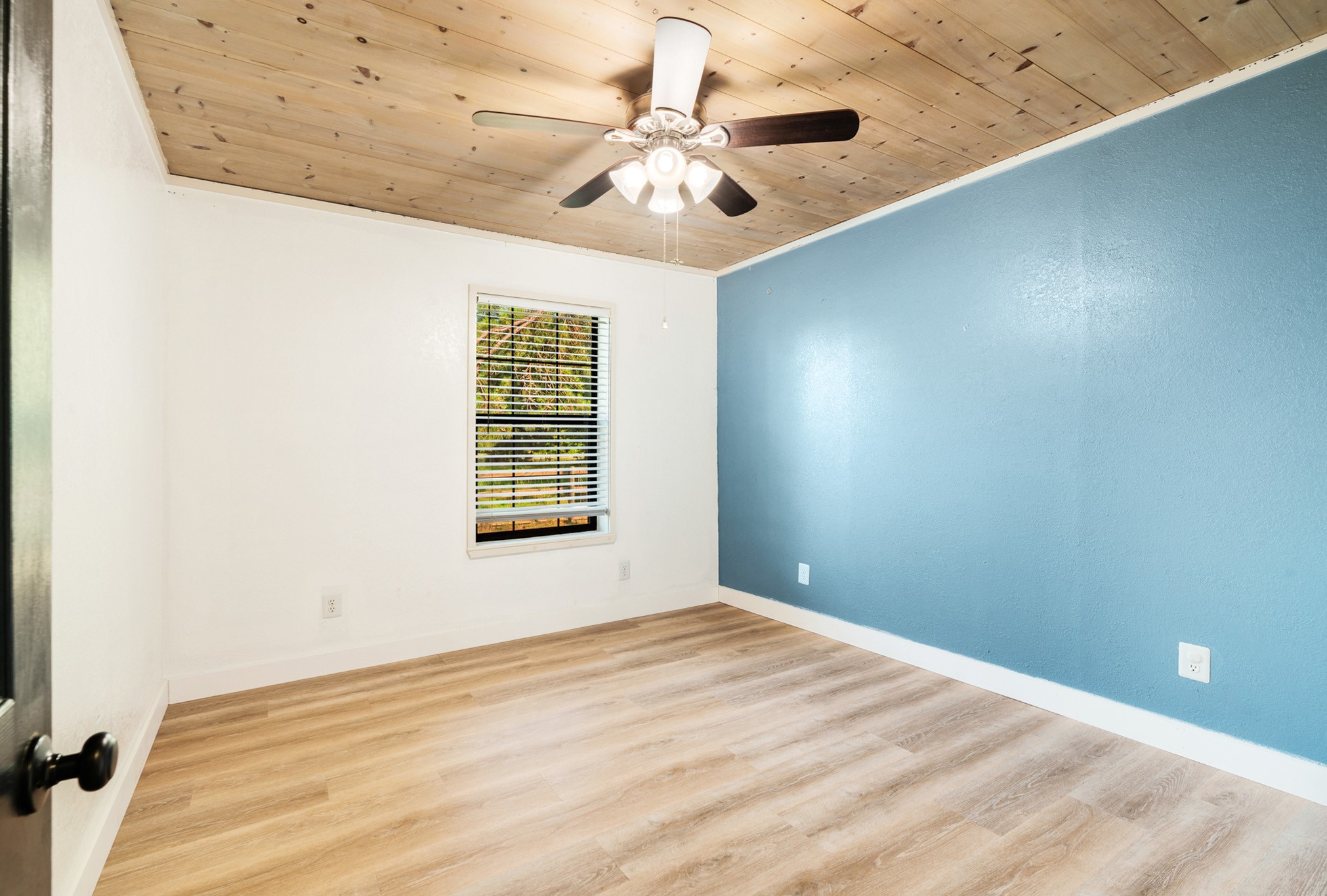13944 Farm Road 195