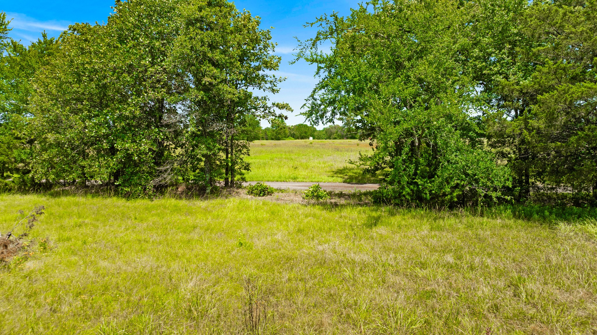 37 County Road 34710