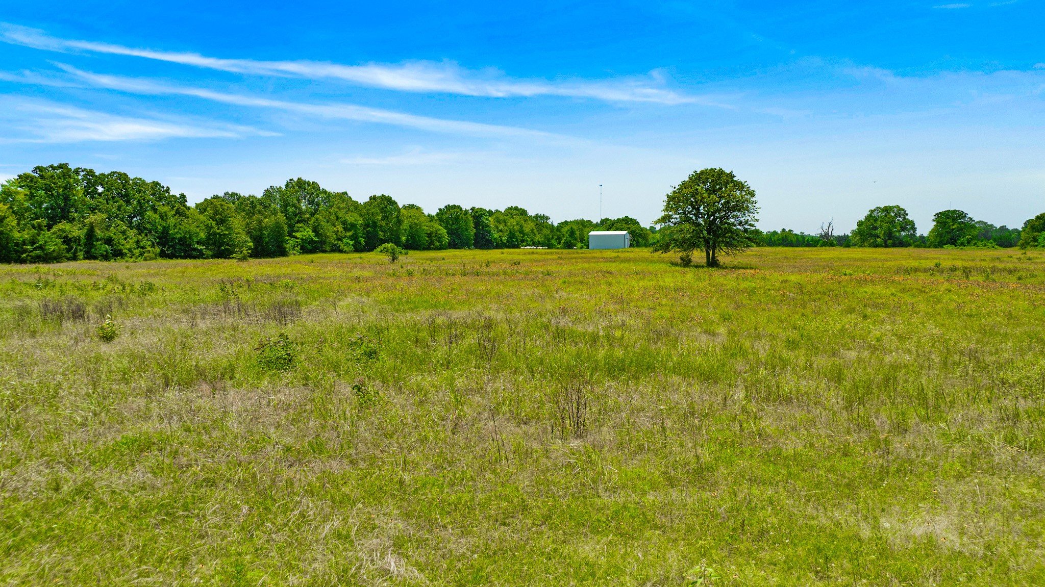 37 County Road 34710