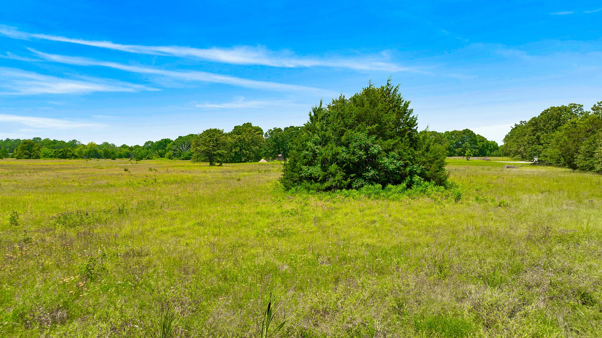 37 County Road 34710