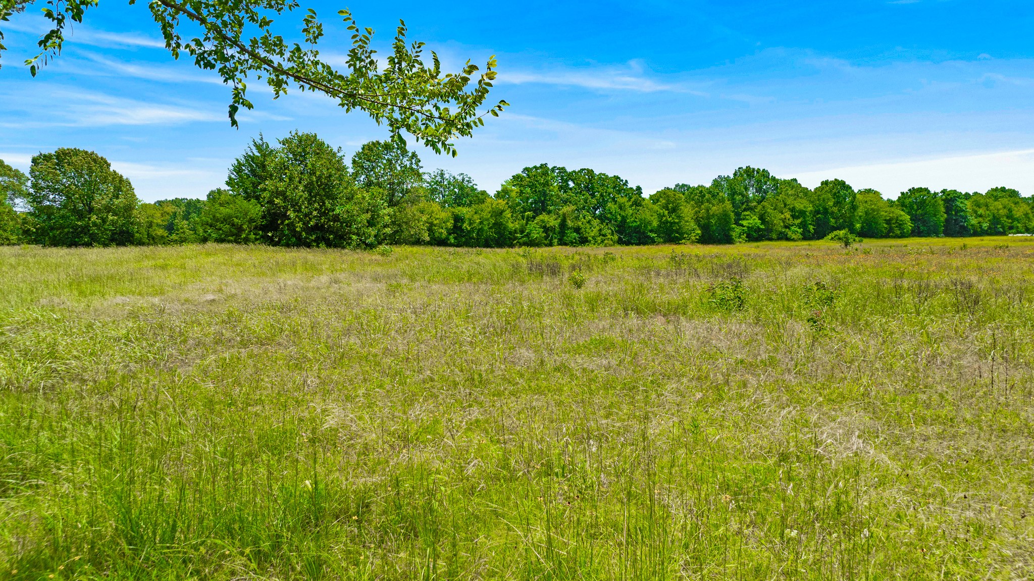 37 County Road 34710