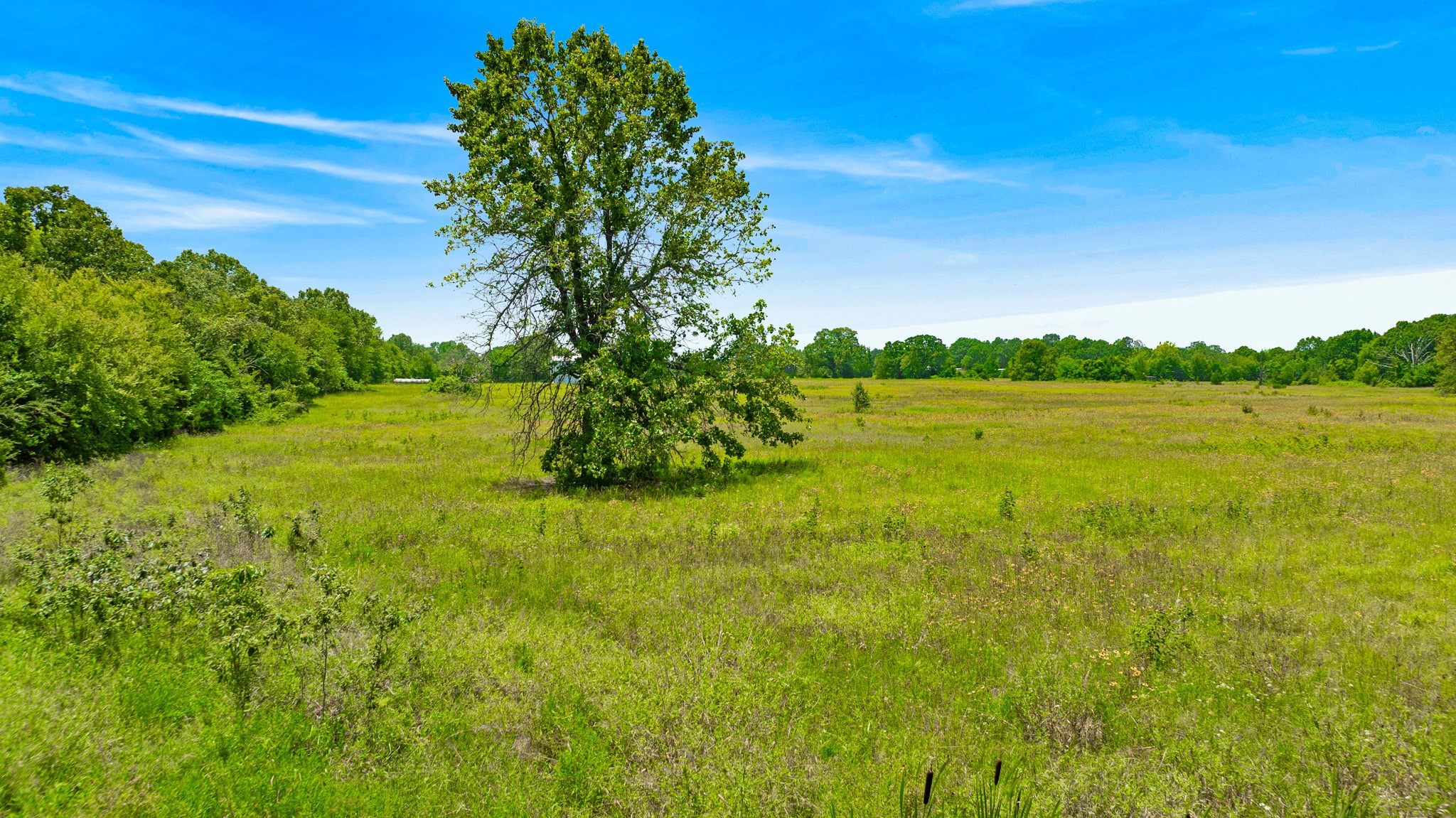 37 County Road 34710