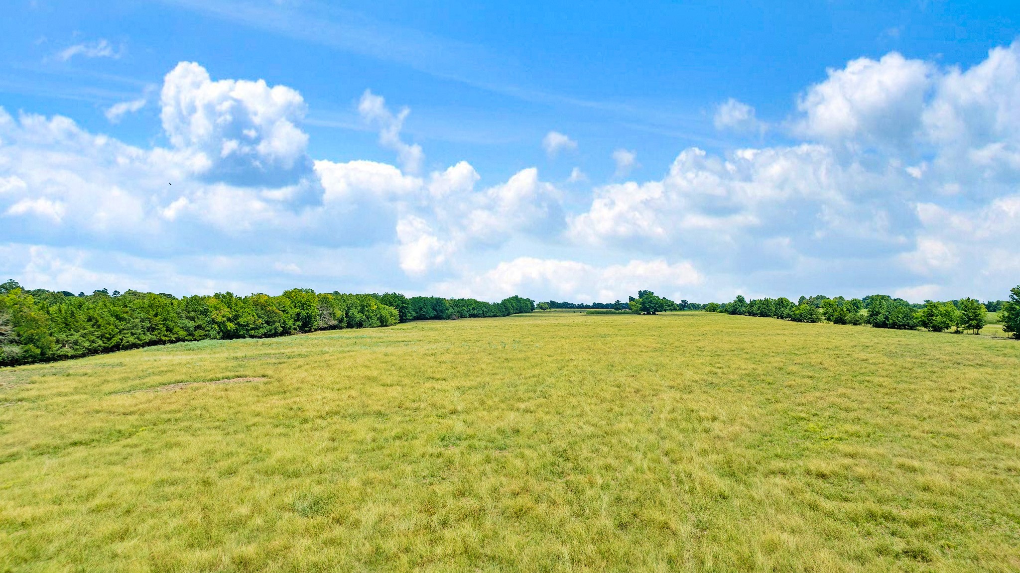 2606 Farm Road 412