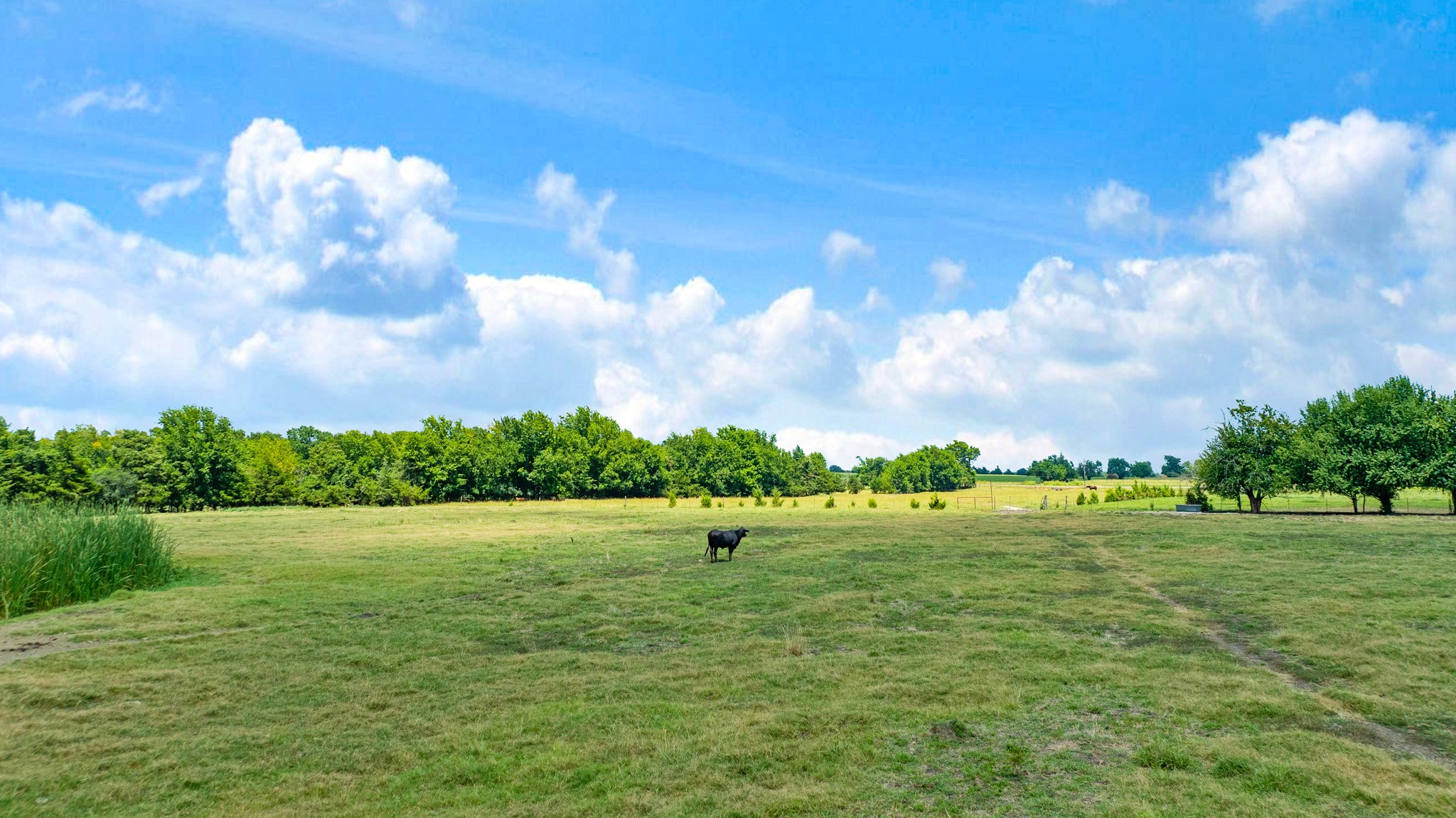 2606 Farm Road 412
