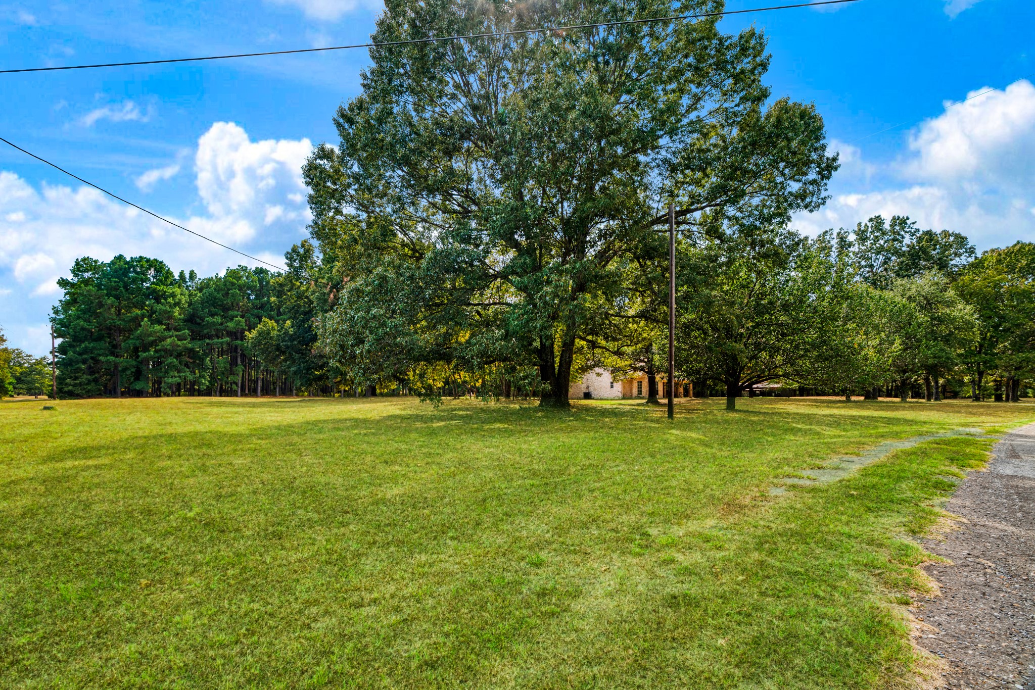539 County Road 34775