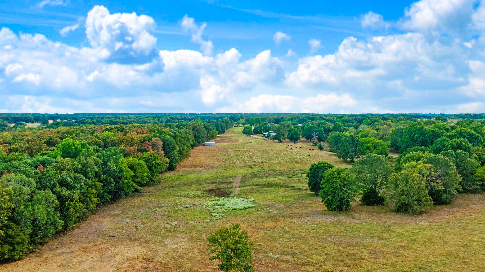 1713 County Road 43500