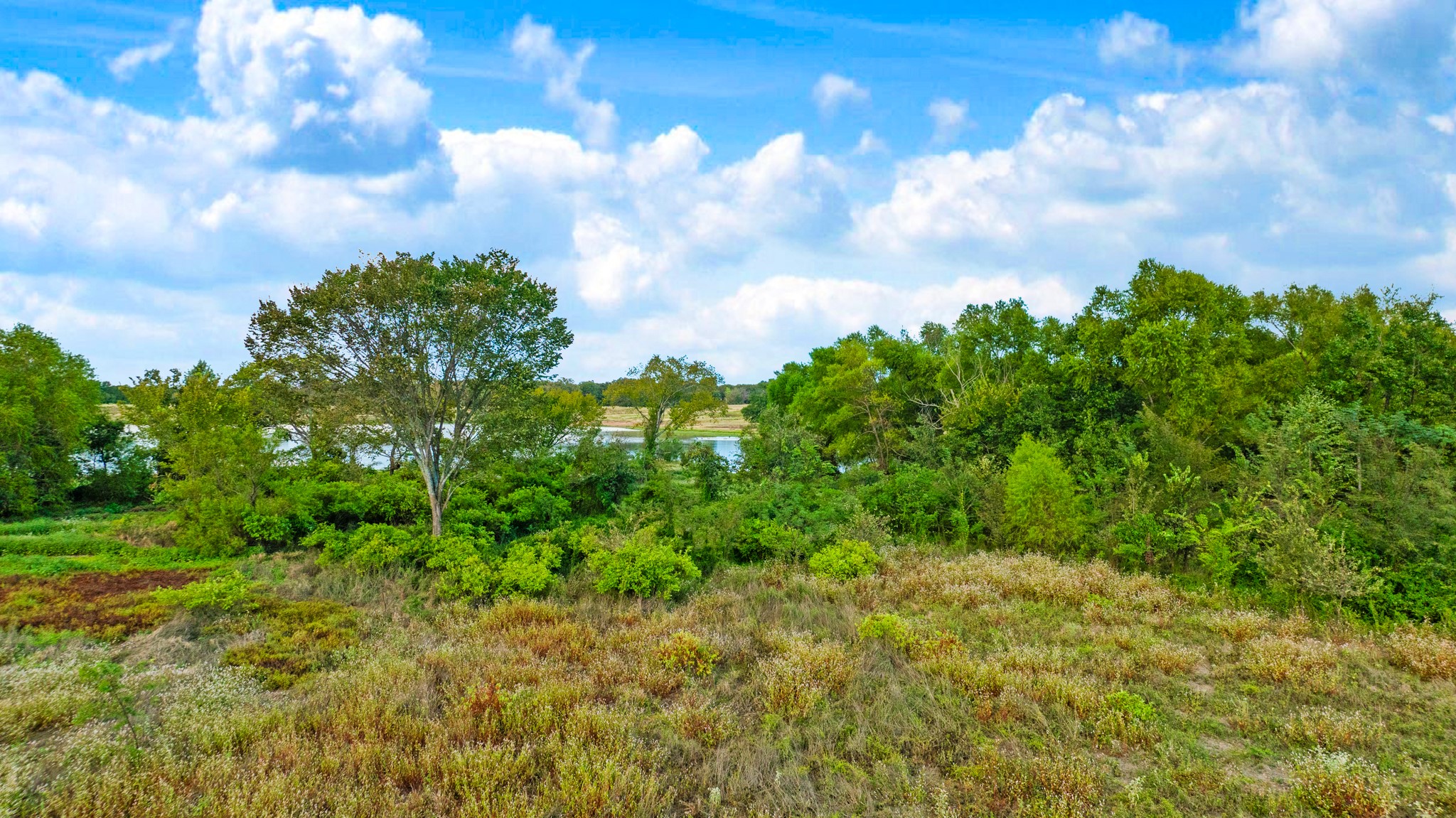 1713 County Road 43500