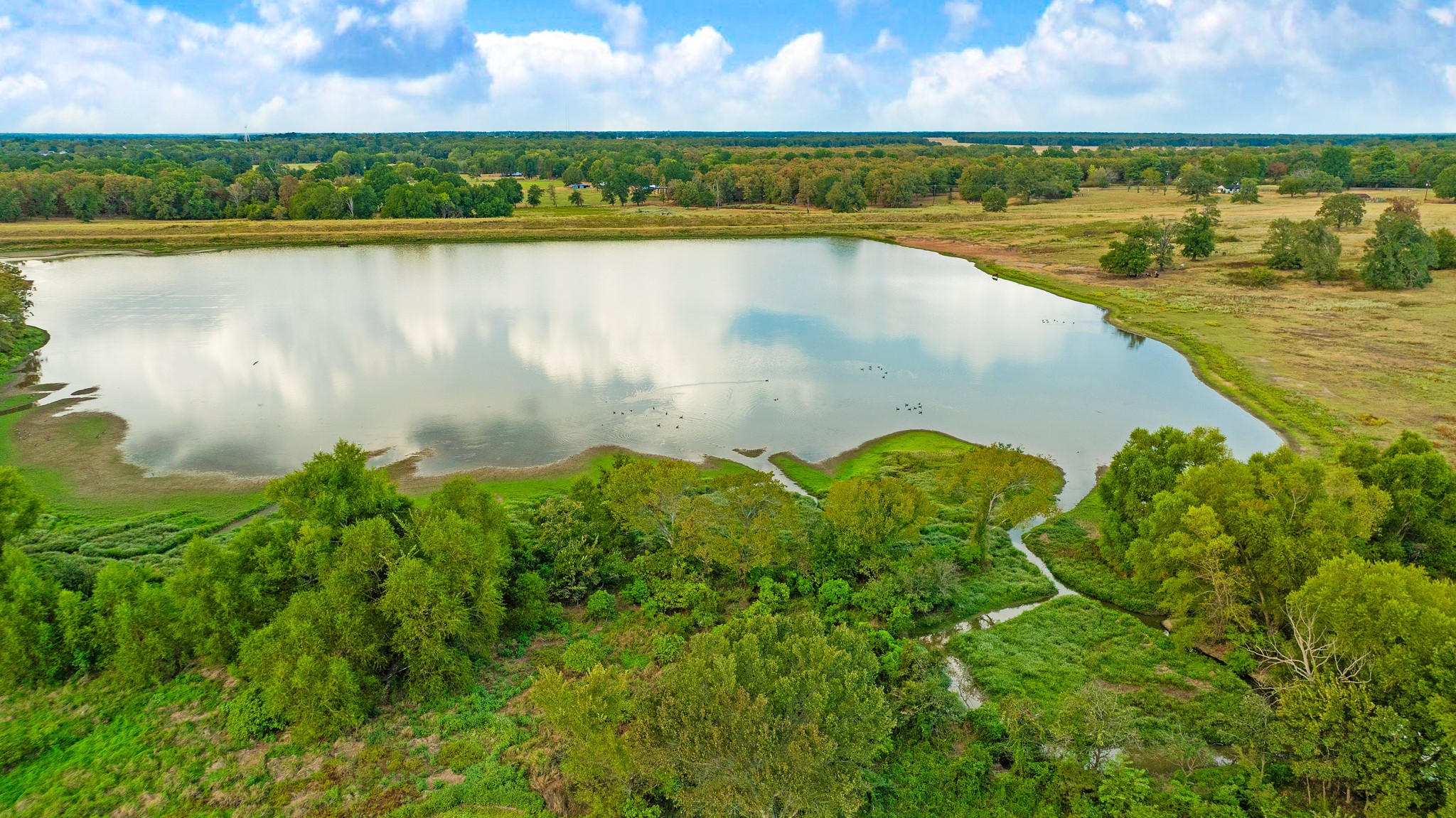 1713 County Road 43500