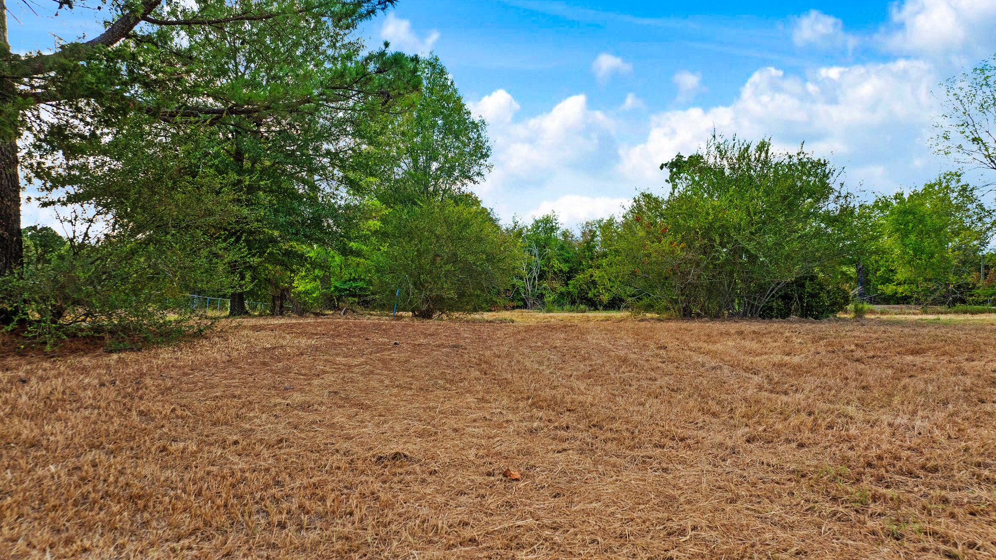 1713 County Road 43500