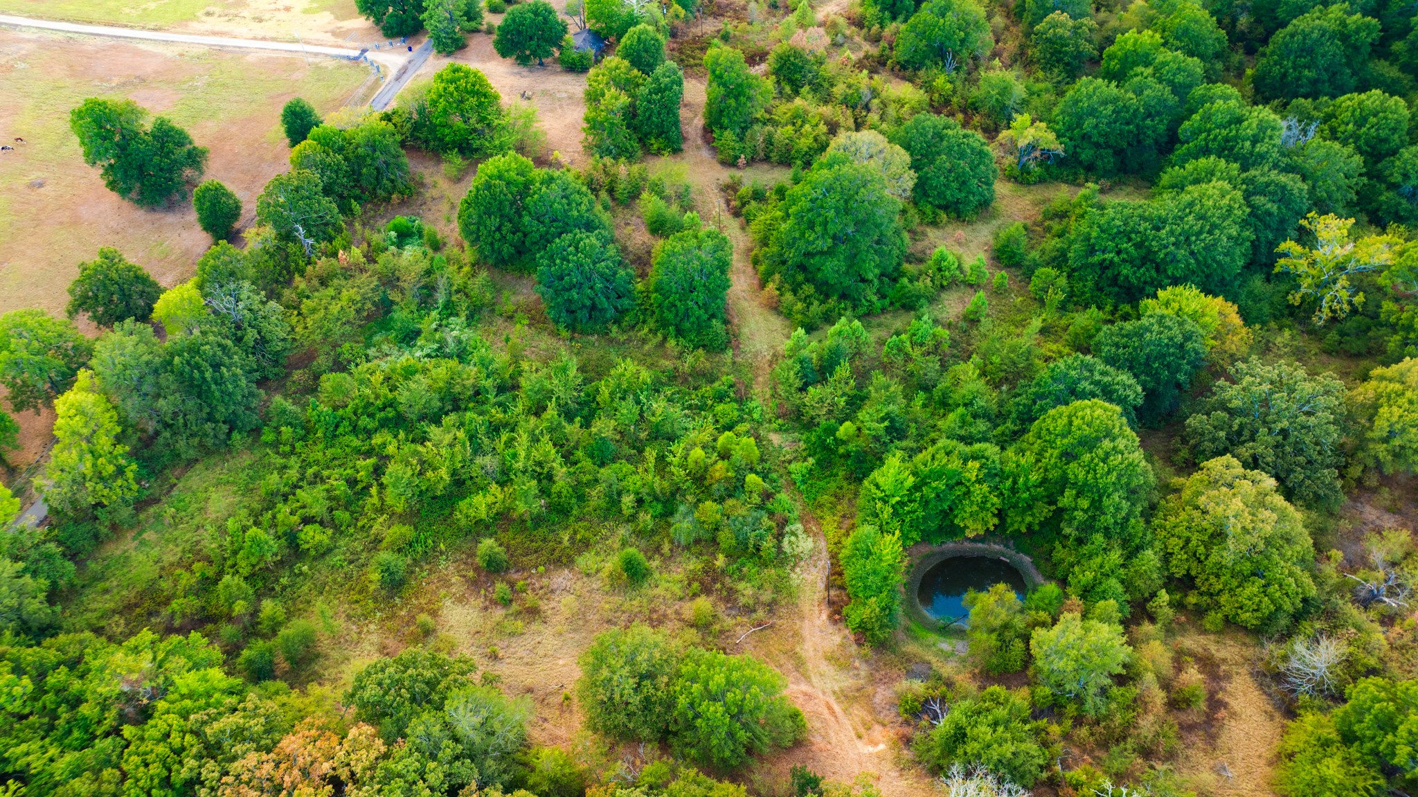 1713 County Road 43500