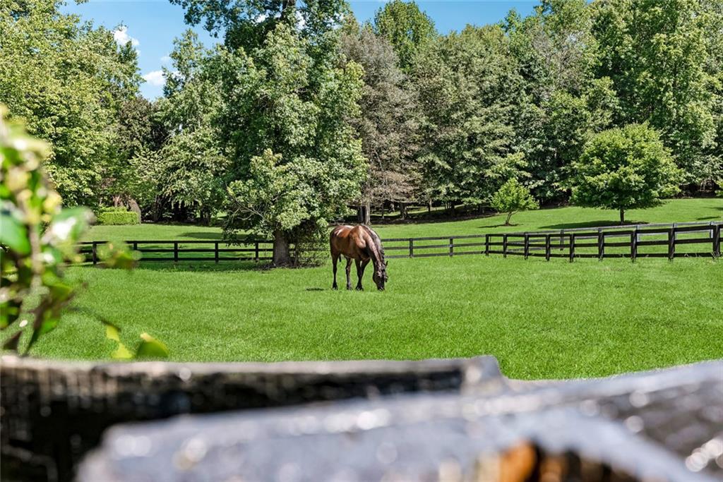 206 Savanna Estates Court