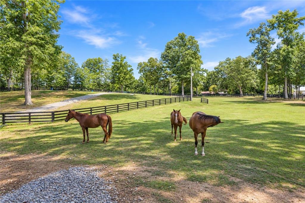 297 Henderson Lake Drive