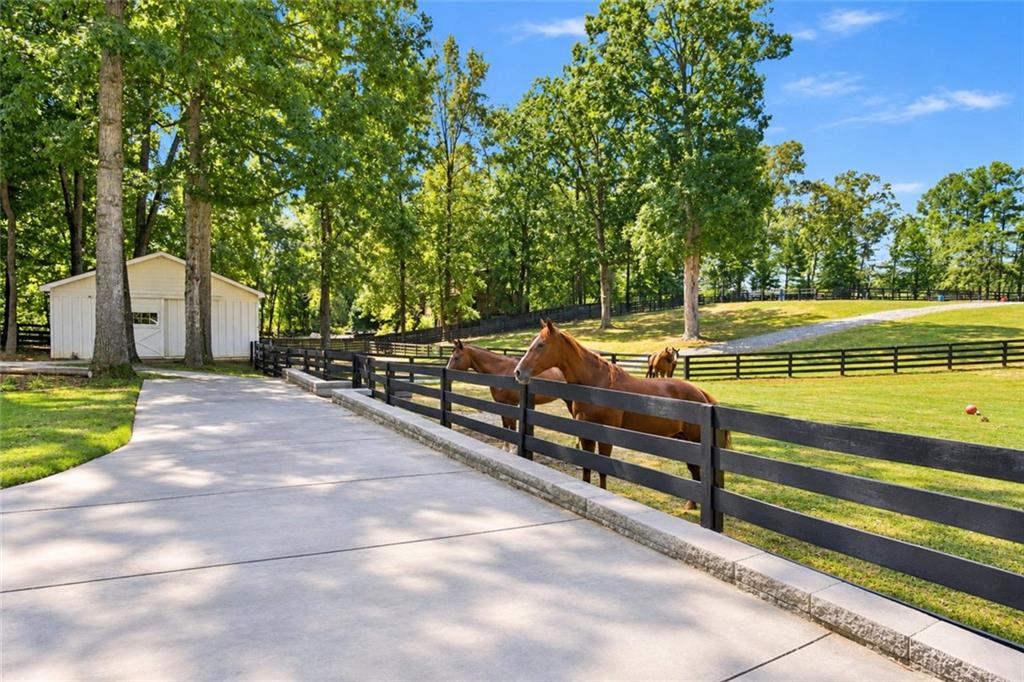 297 Henderson Lake Drive