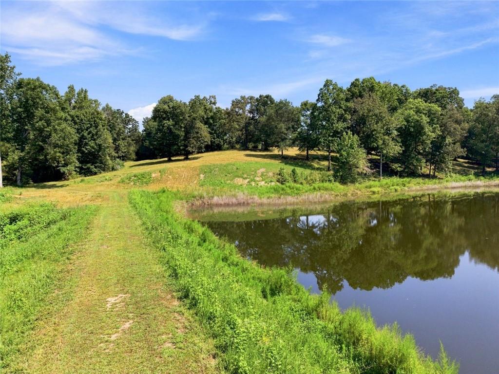 568 Franklin Goldmine Road