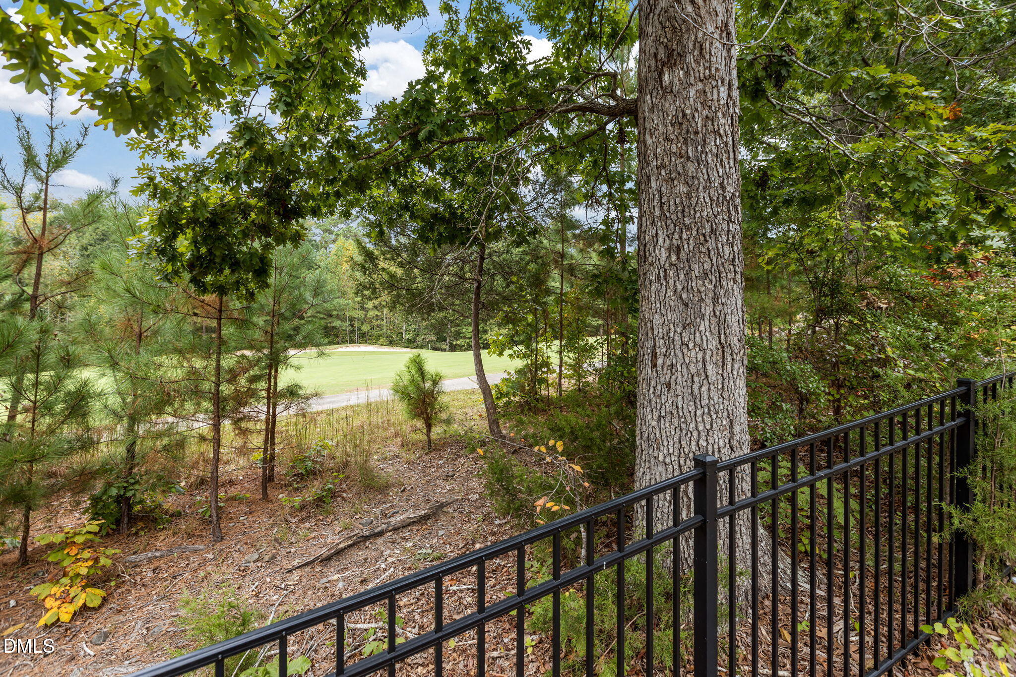 465 Davis Love Drive