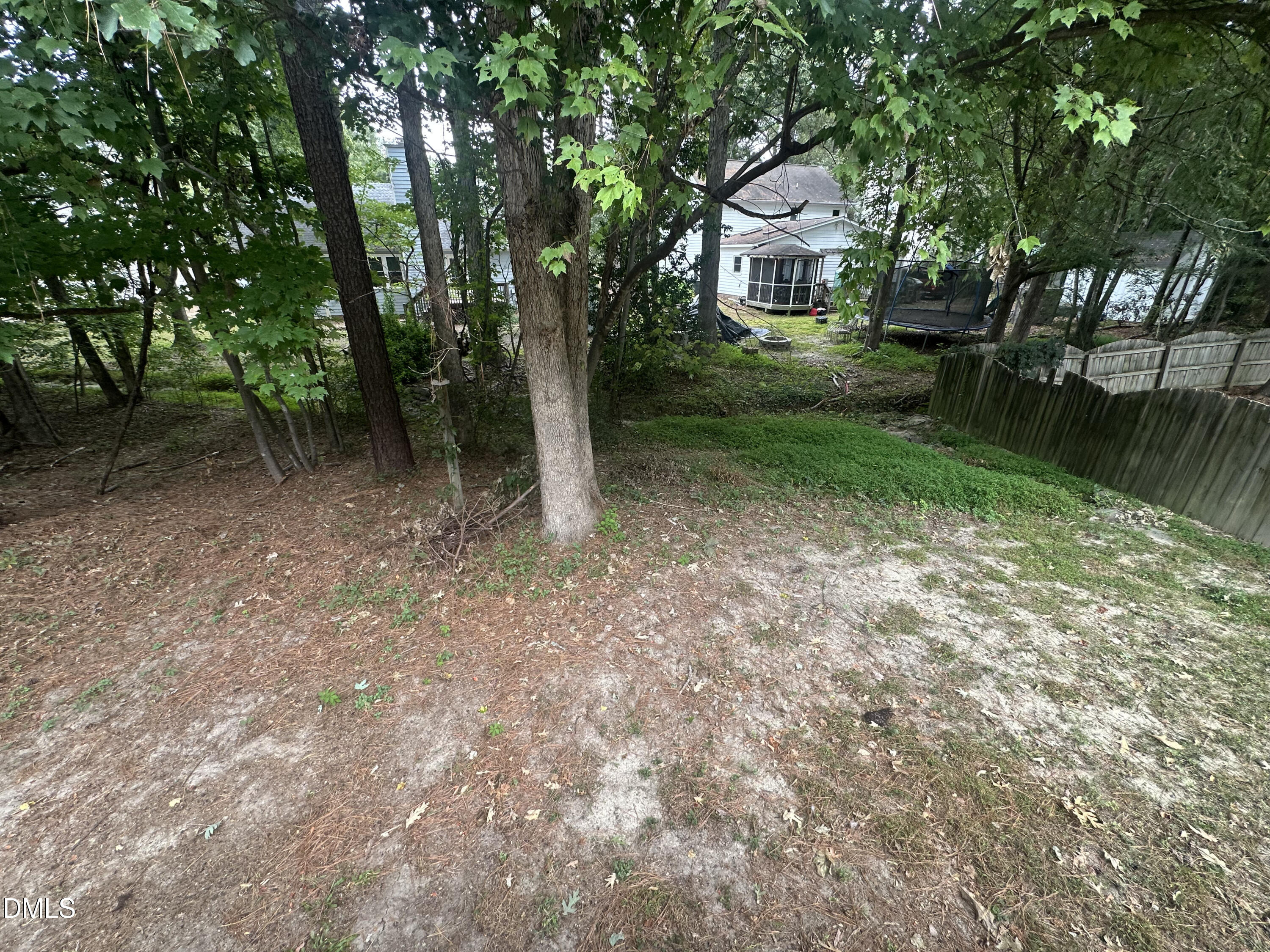3529 Singleleaf Lane