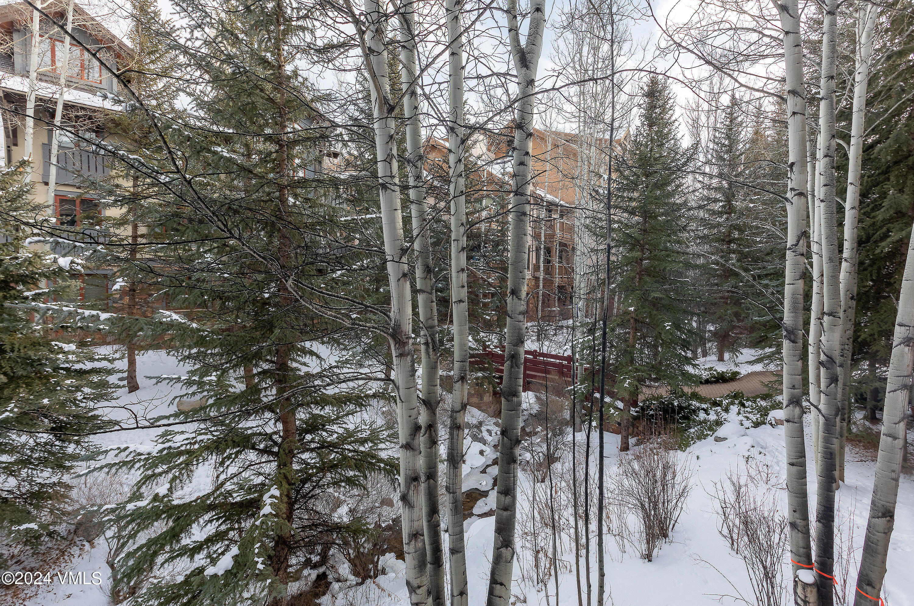 663 Sawatch Drive D-6