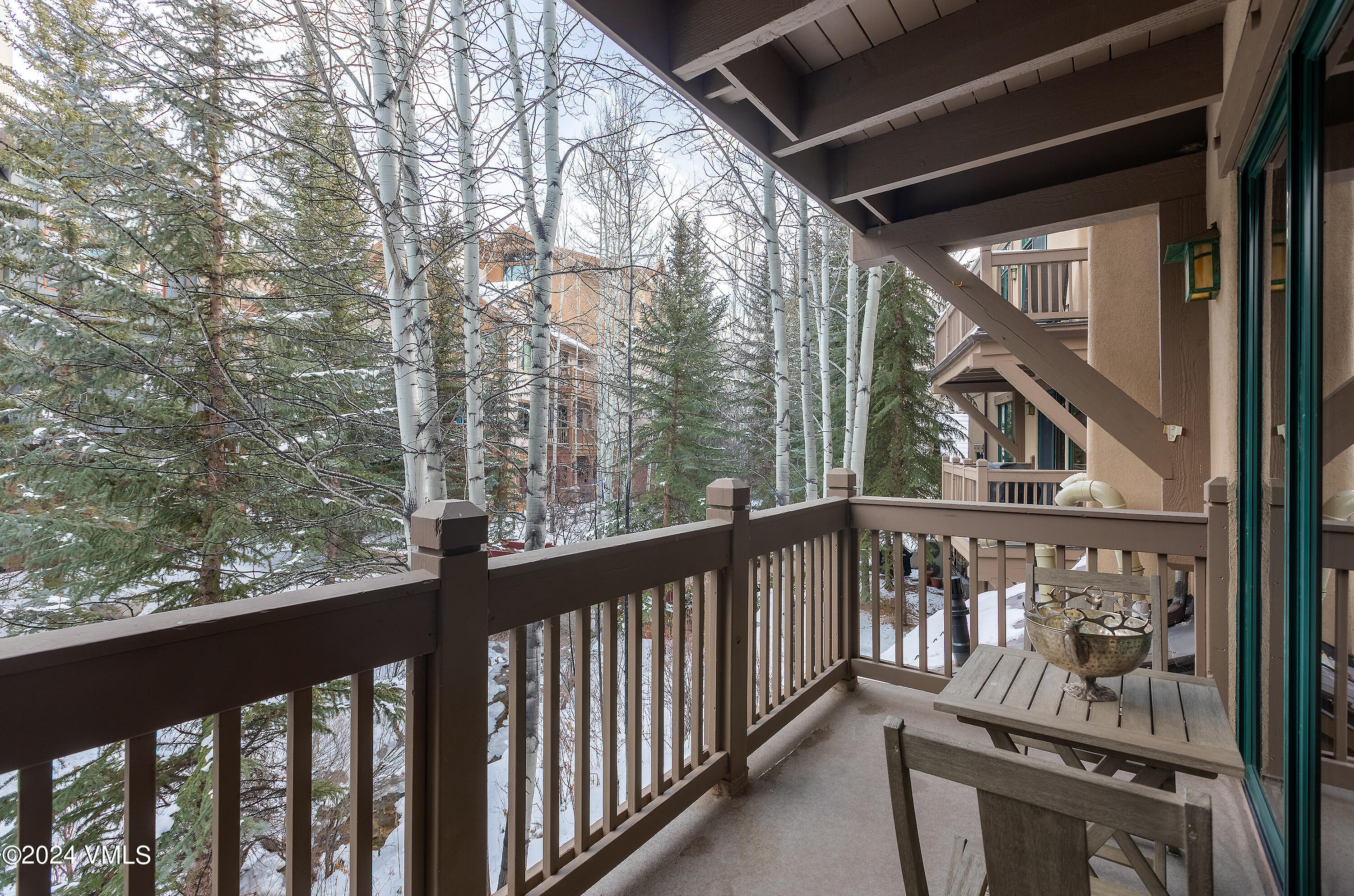 663 Sawatch Drive D-6