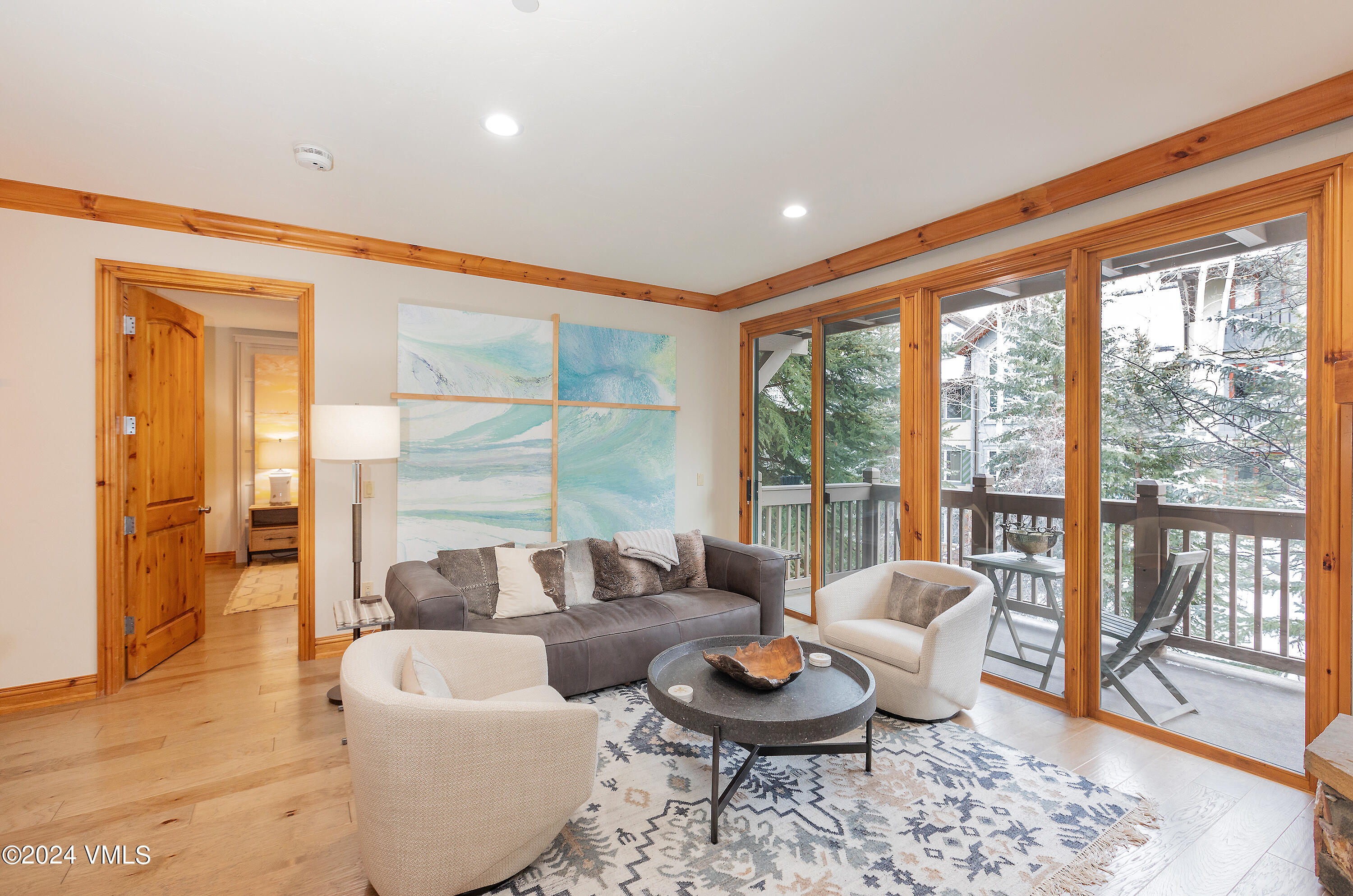 663 Sawatch Drive D-6