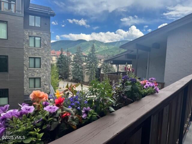 707 W Lionshead Circle B-6