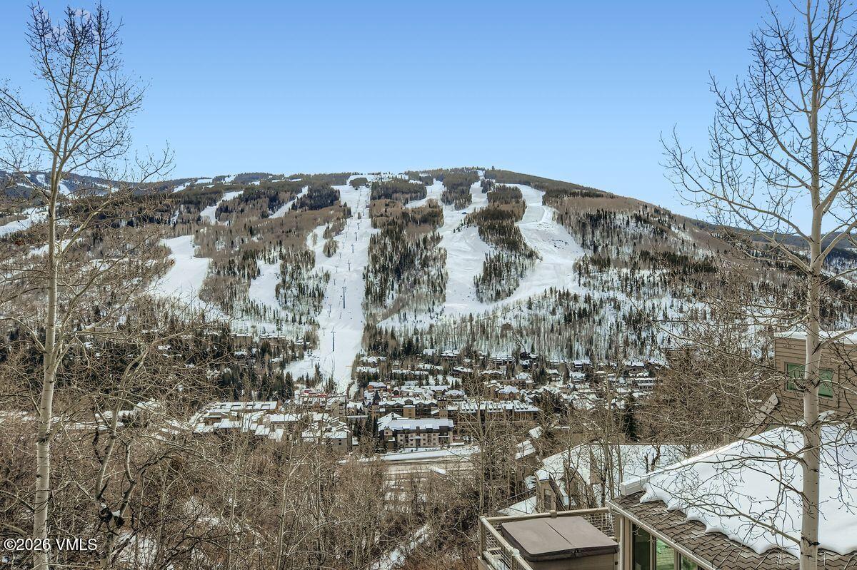 770 Potato Patch Drive 14