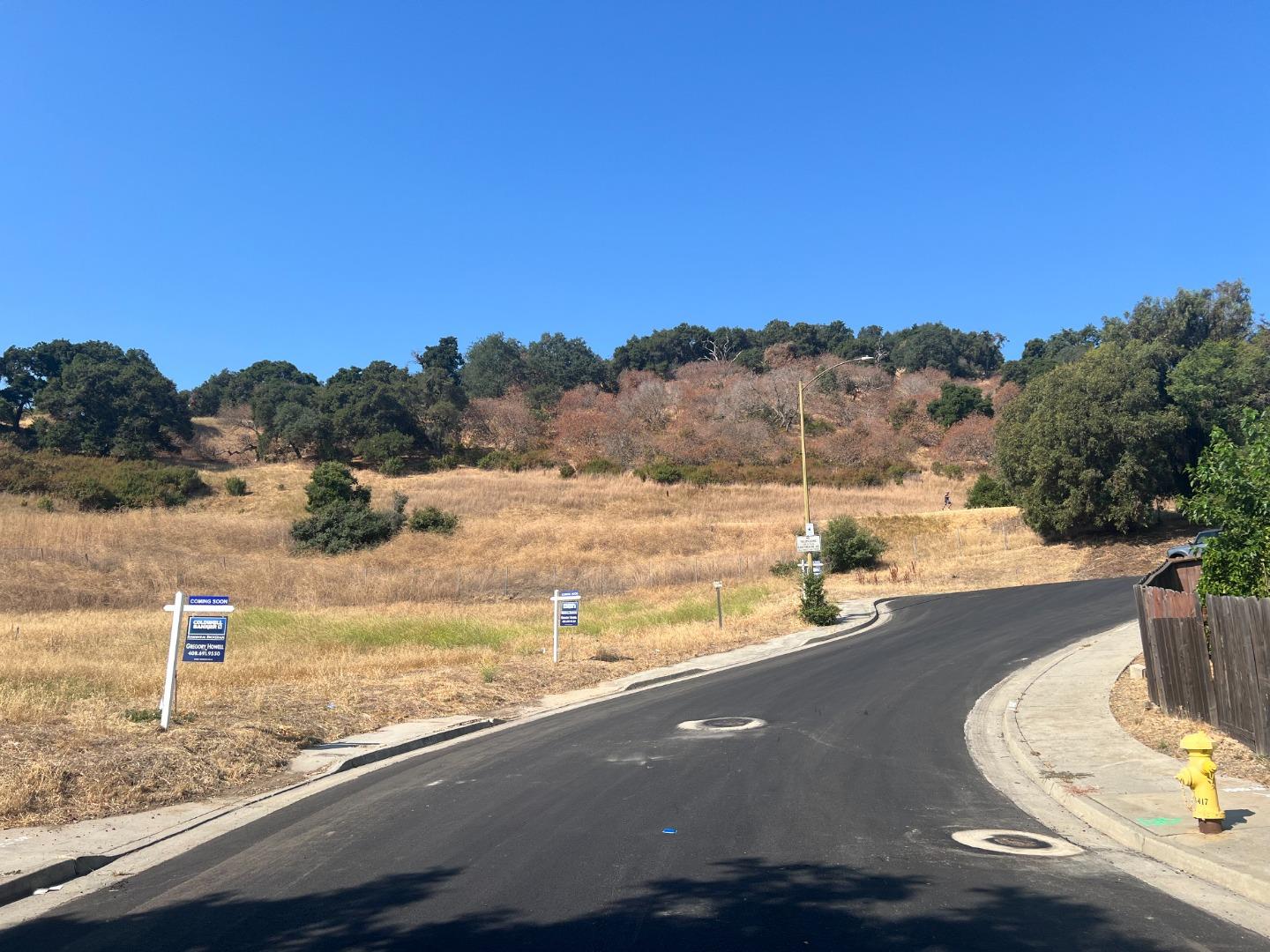 0 Foothill CT, Lot 042