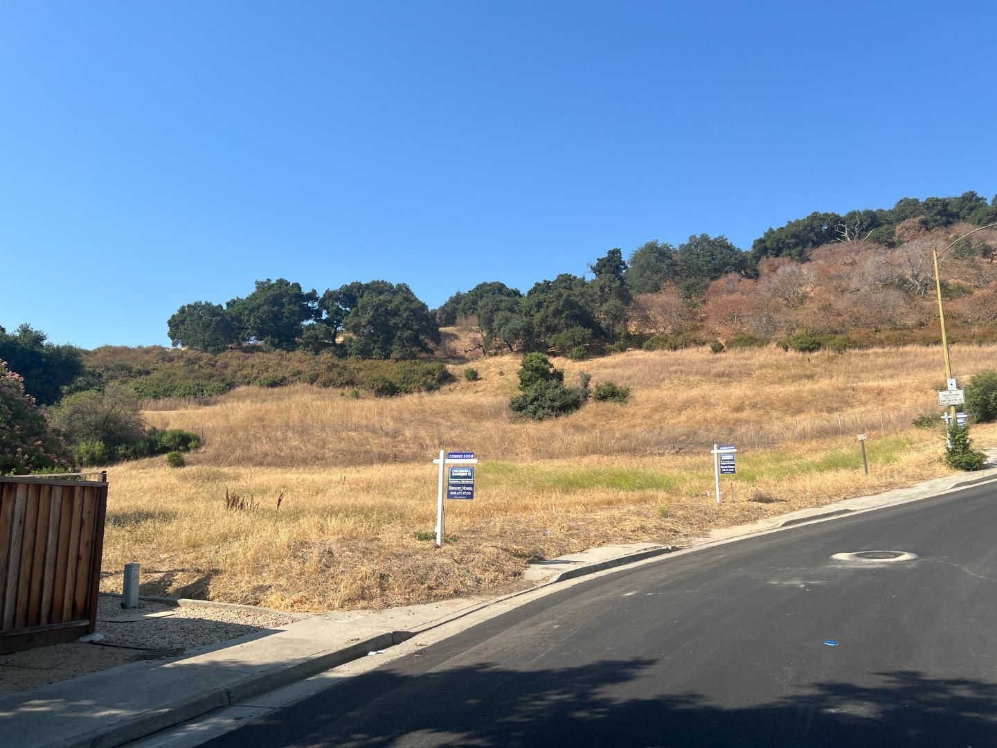 0 Foothill CT, Lot 042