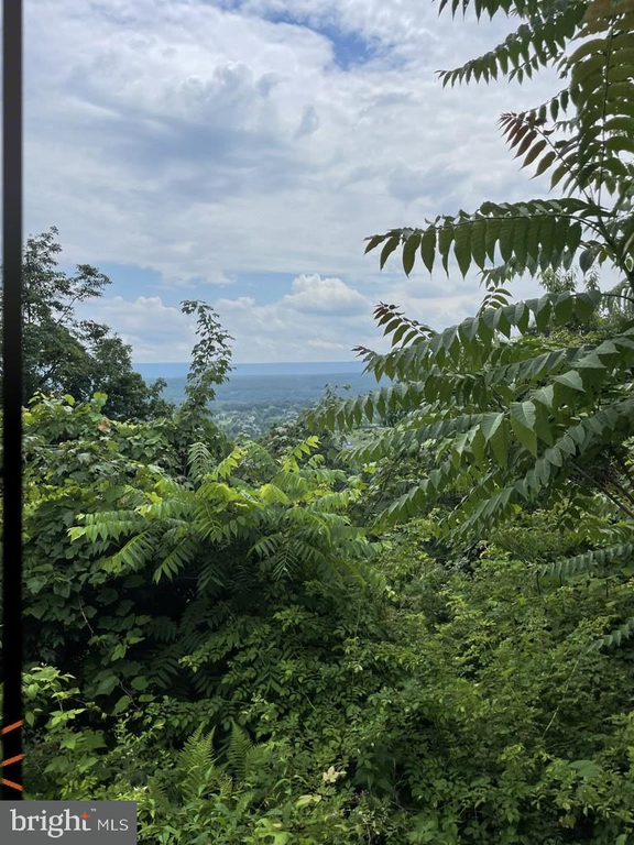 SKYTOP VISTA ROAD