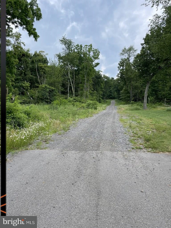 SKYTOP VISTA ROAD