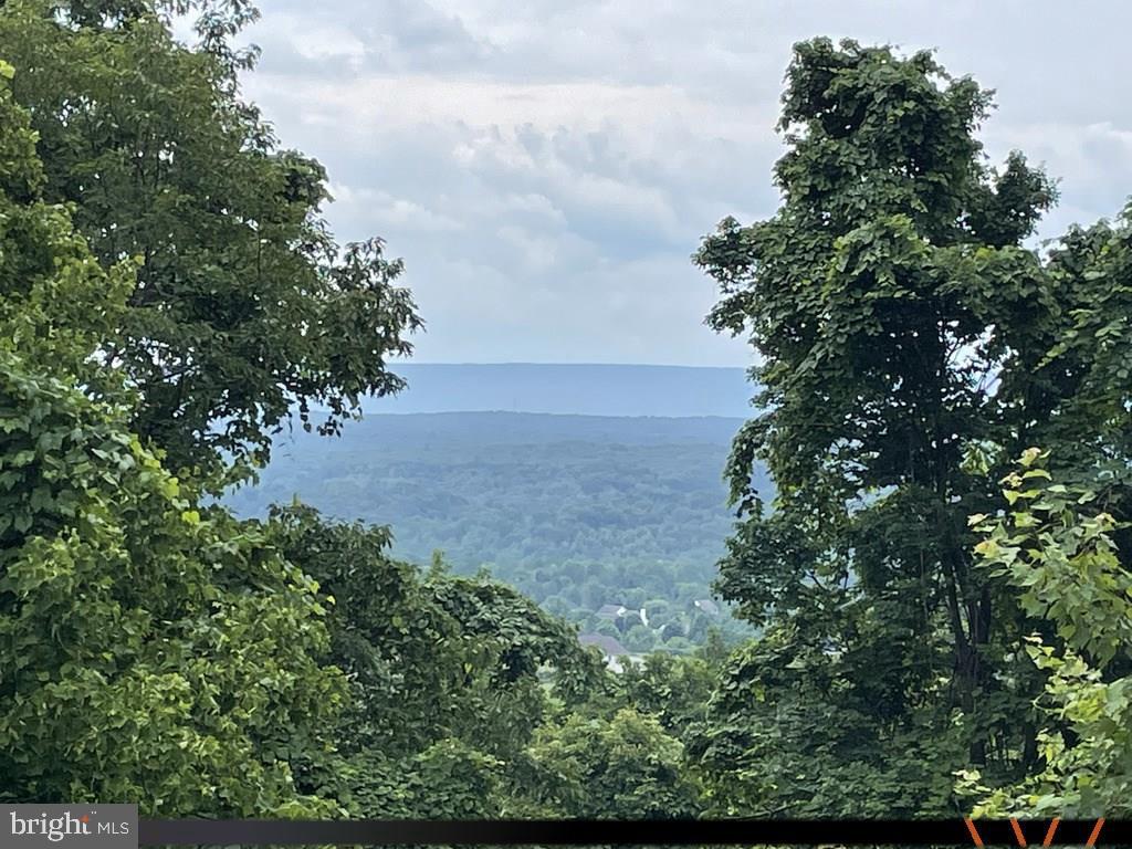 SKYTOP VISTA ROAD