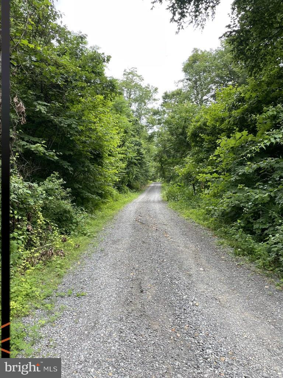 SKYTOP VISTA ROAD