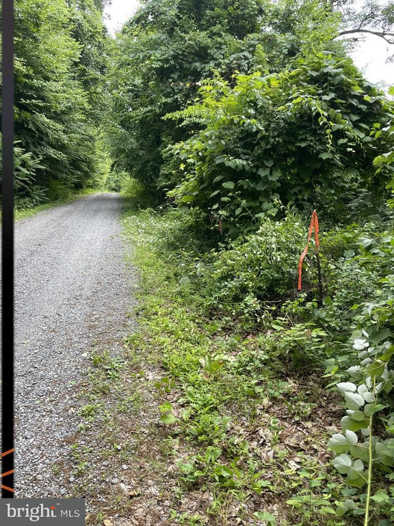 SKYTOP VISTA ROAD