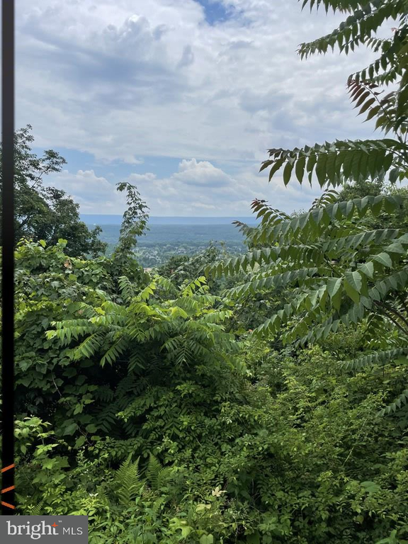 SKYTOP VISTA ROAD
