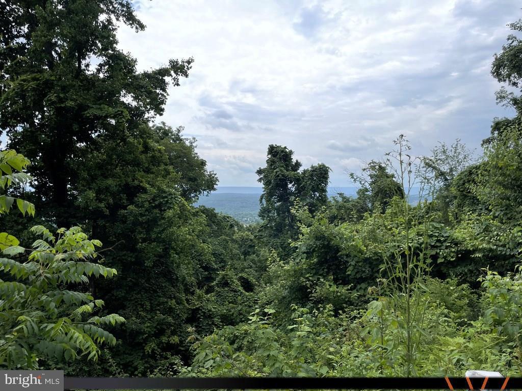 SKYTOP VISTA ROAD