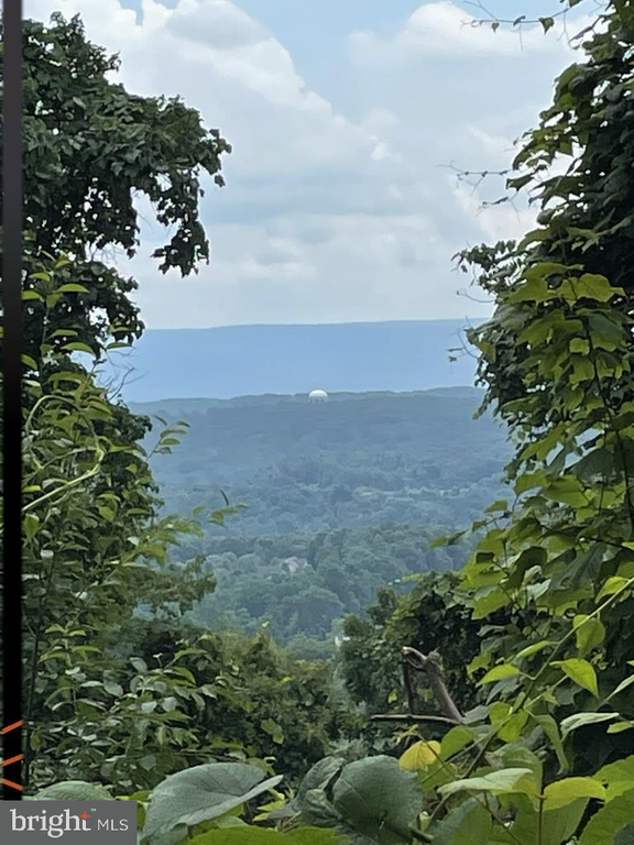 SKYTOP VISTA ROAD