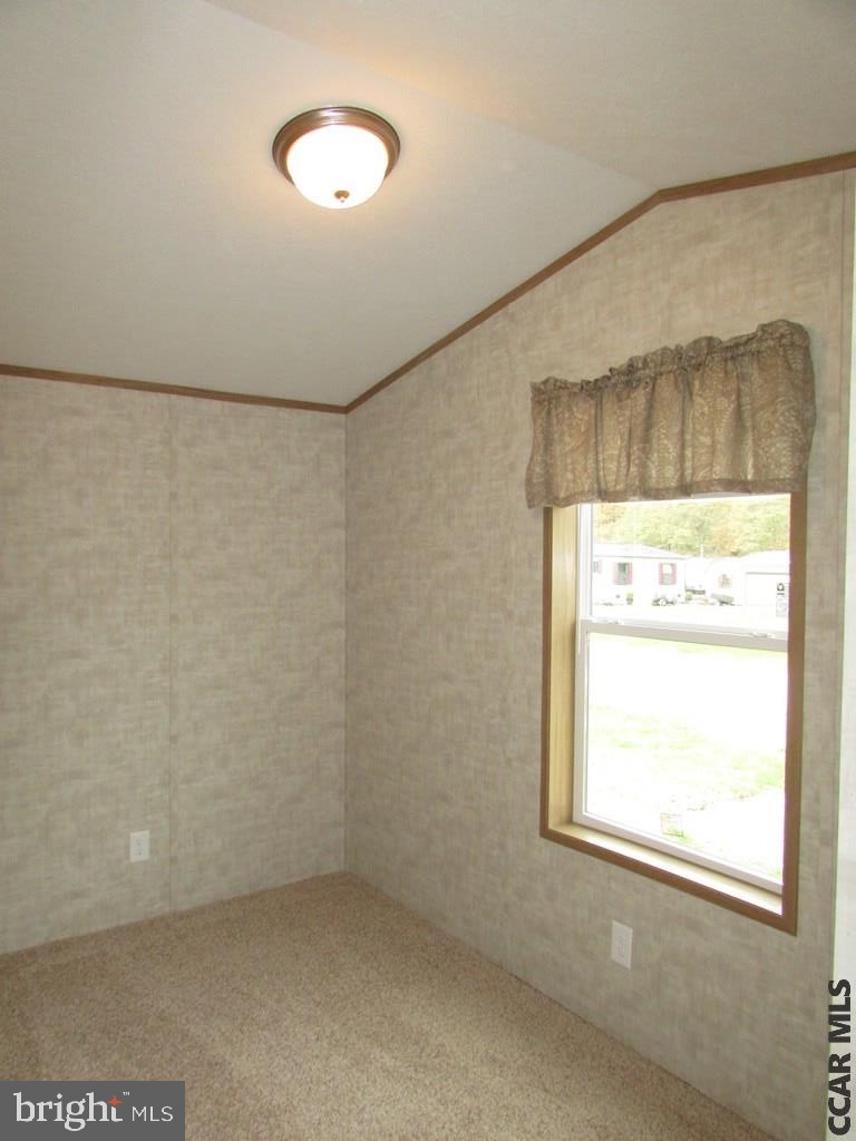 382 HAWK LANE