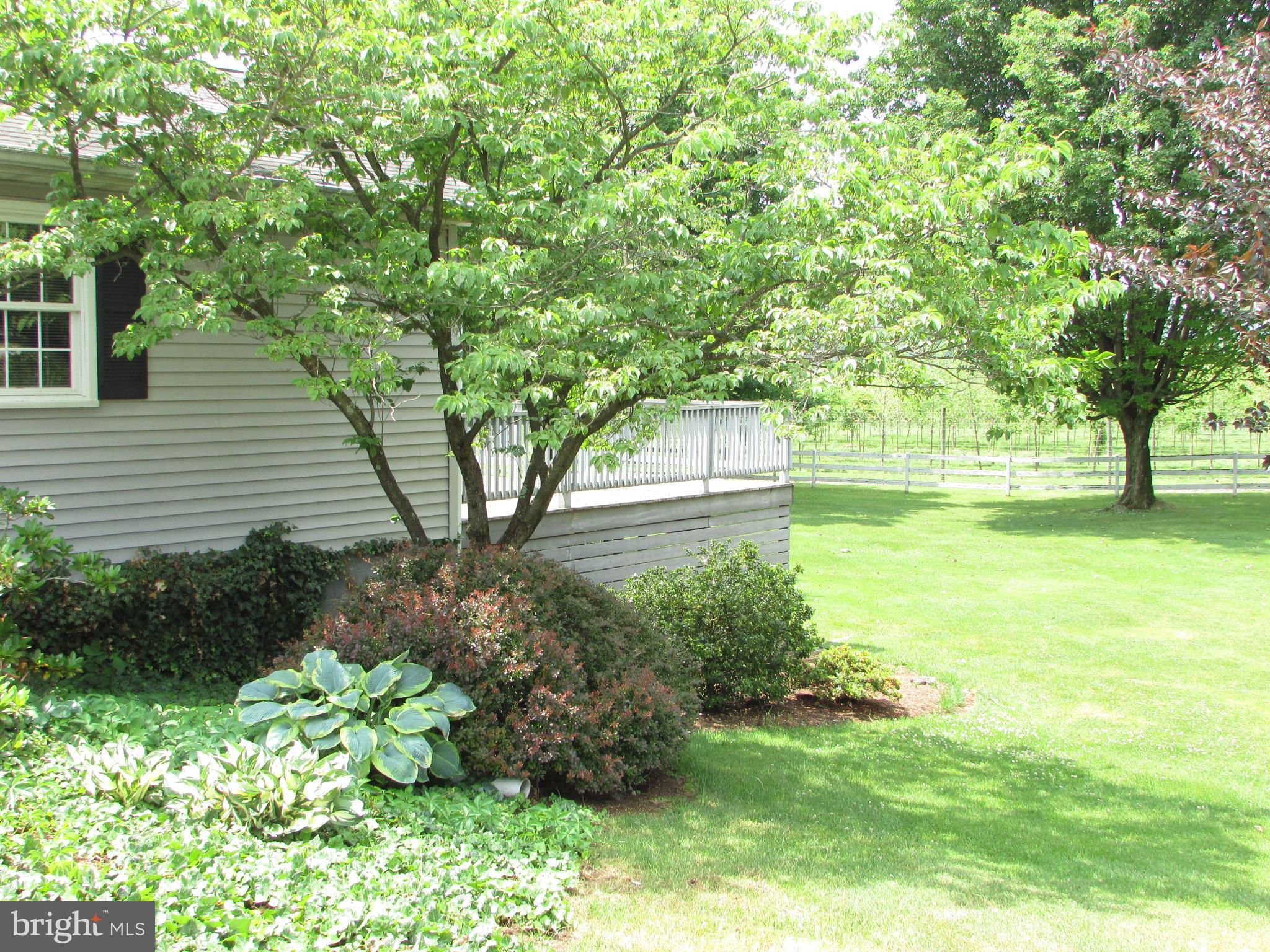 1994-1996 GENERAL POTTER HIGHWAY