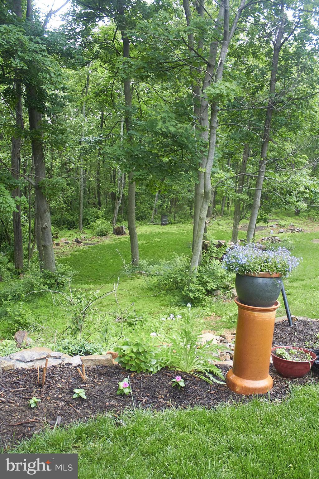 647 E CHESTNUT STREET