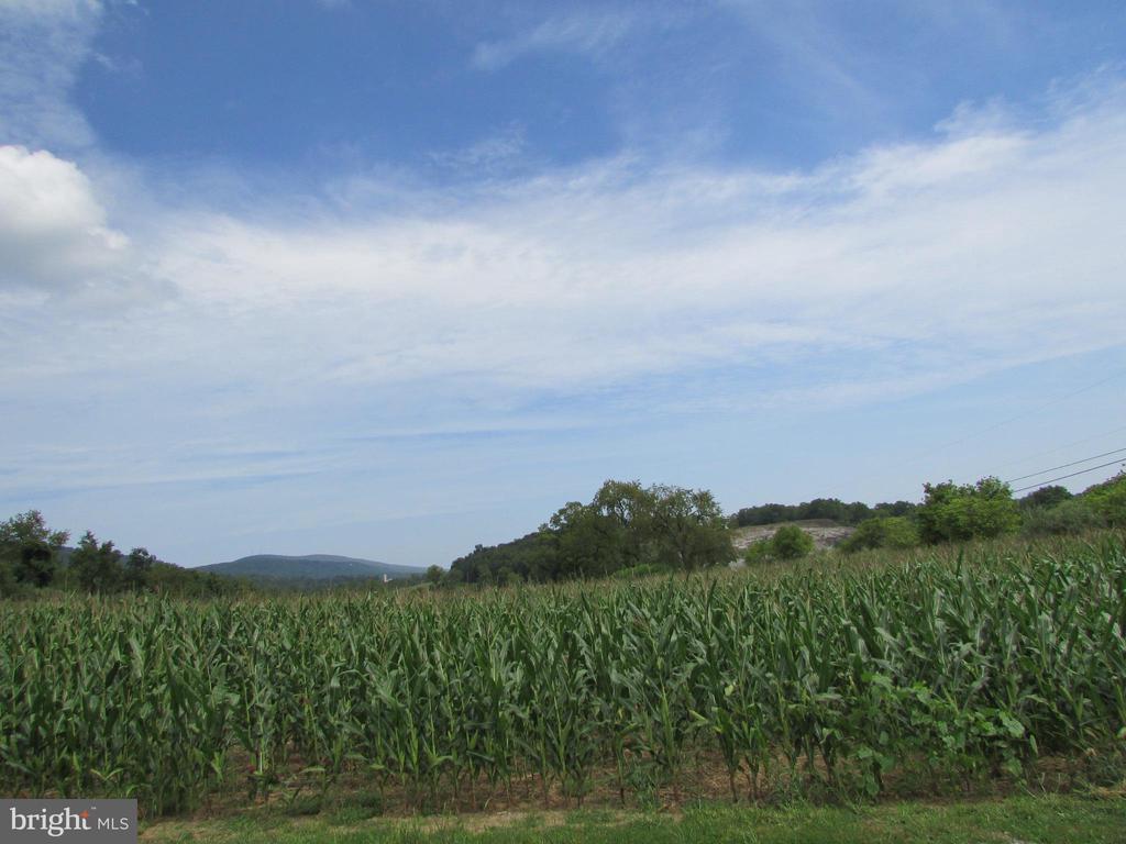 0 UPPER BRUSH VALLEY ROAD