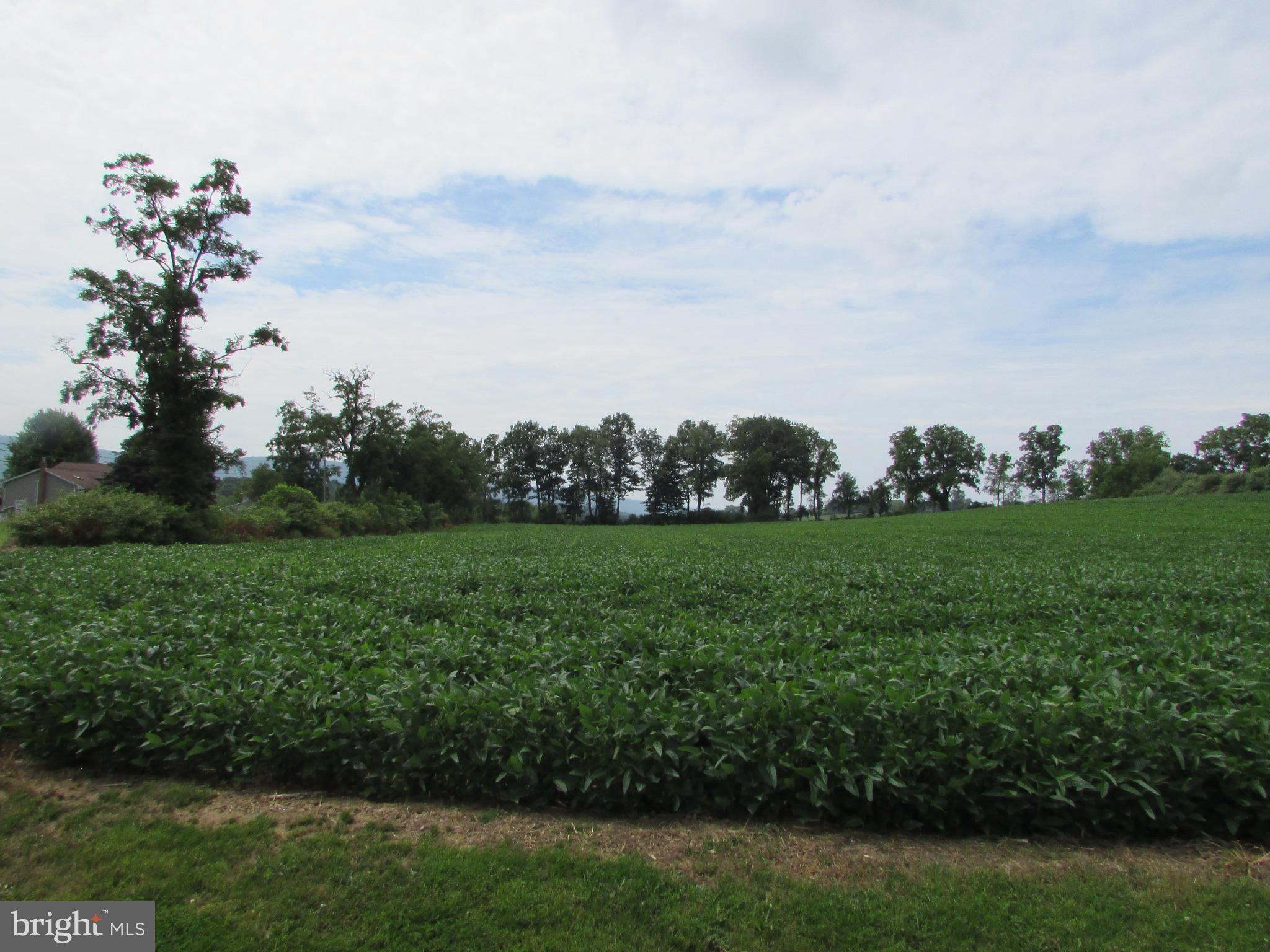 0 UPPER BRUSH VALLEY ROAD