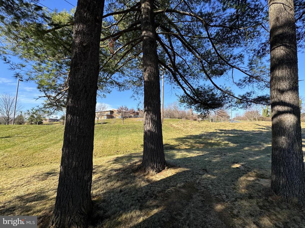 187 PINE HALL COURT