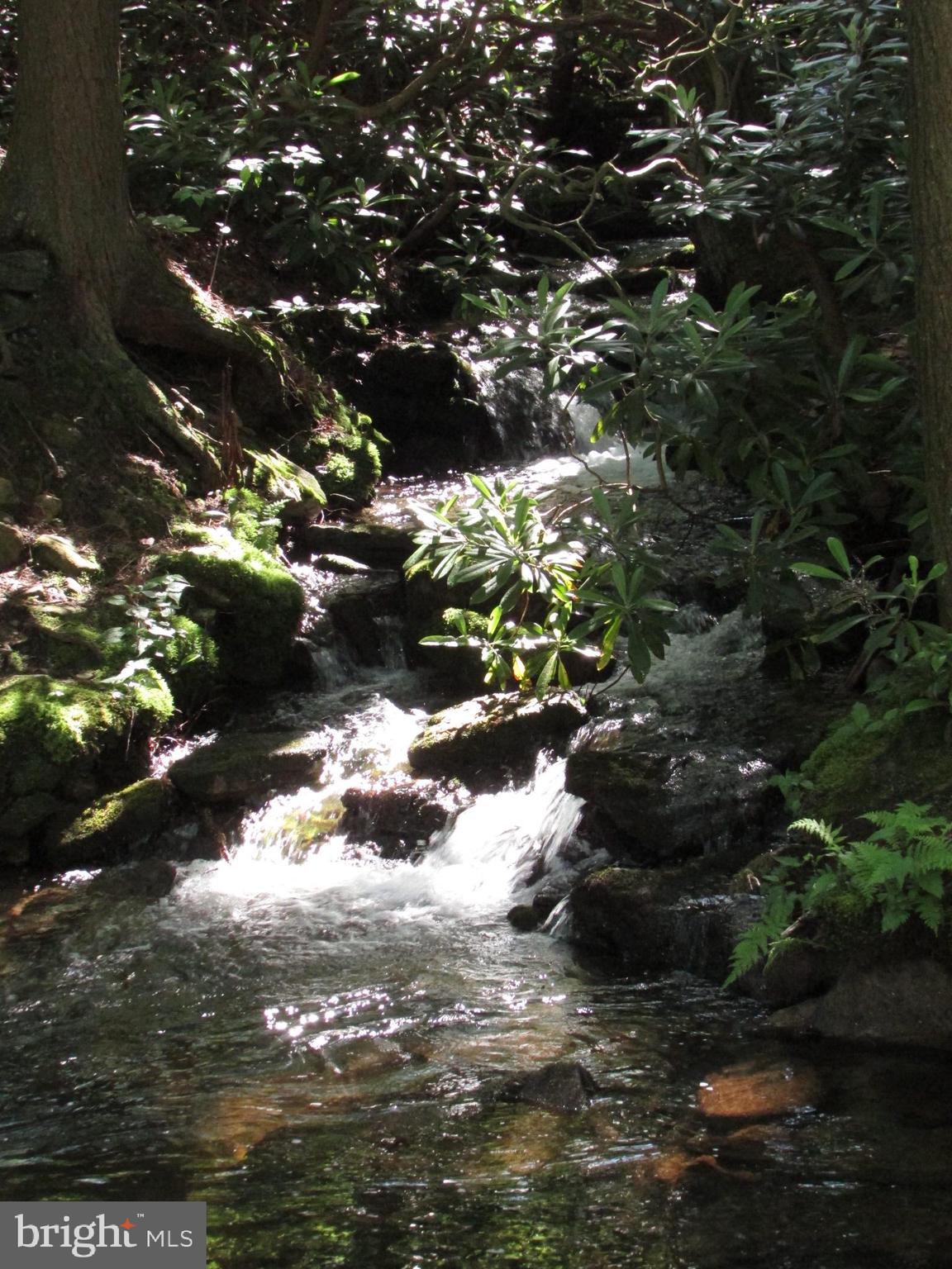 293 SNOW SHOE MOUNTAIN FOREST ROAD