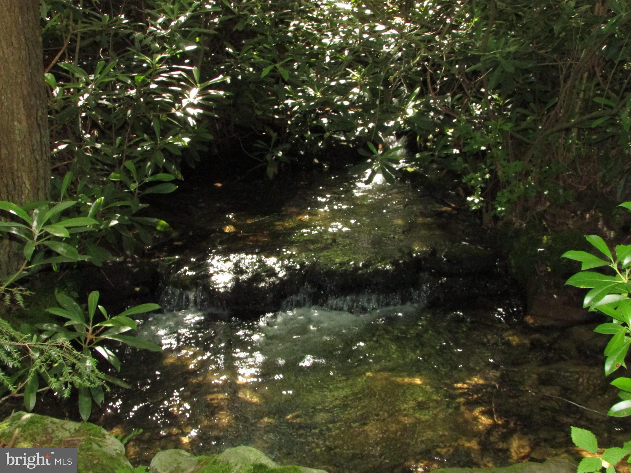 293 SNOW SHOE MOUNTAIN FOREST ROAD