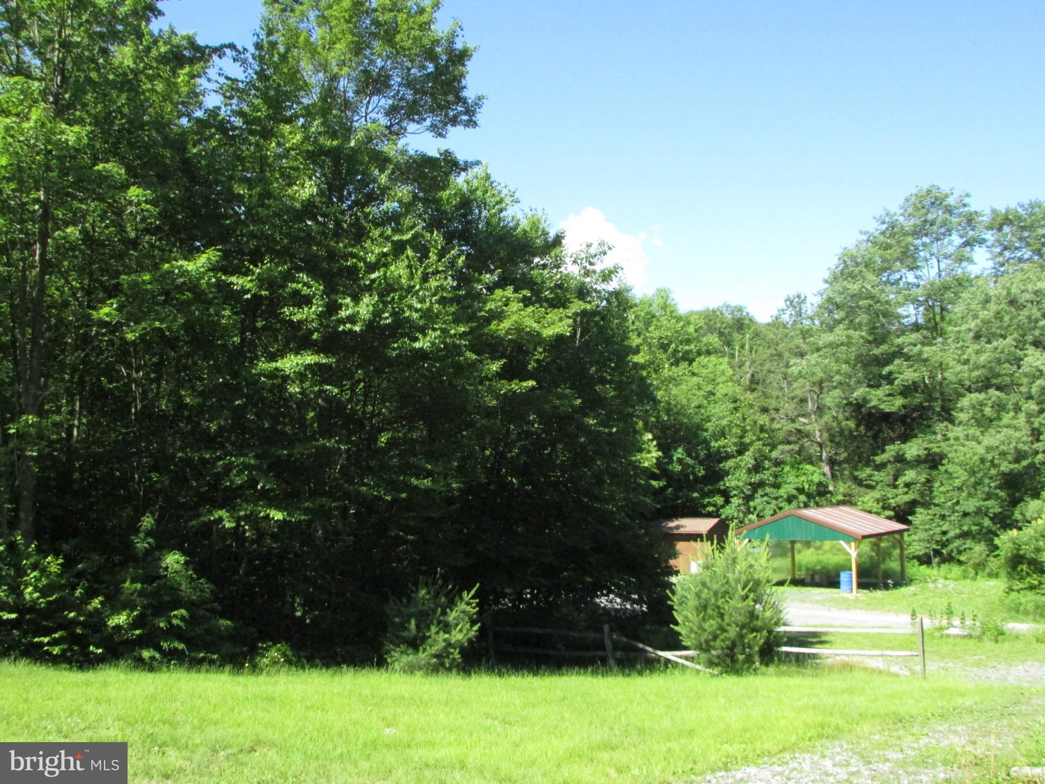 293 SNOW SHOE MOUNTAIN FOREST ROAD