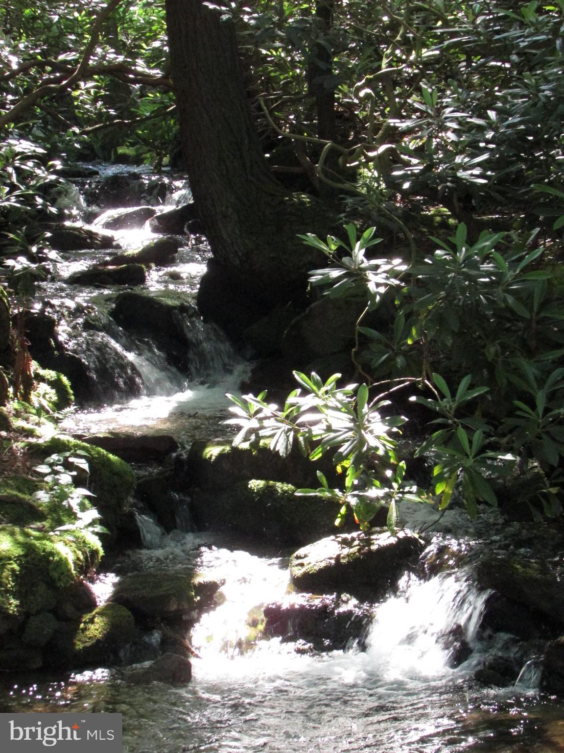 293 SNOW SHOE MOUNTAIN FOREST ROAD