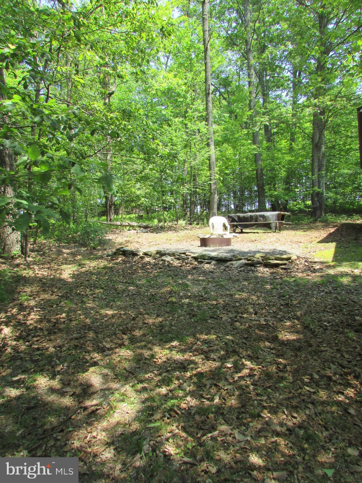 293 SNOW SHOE MOUNTAIN FOREST ROAD