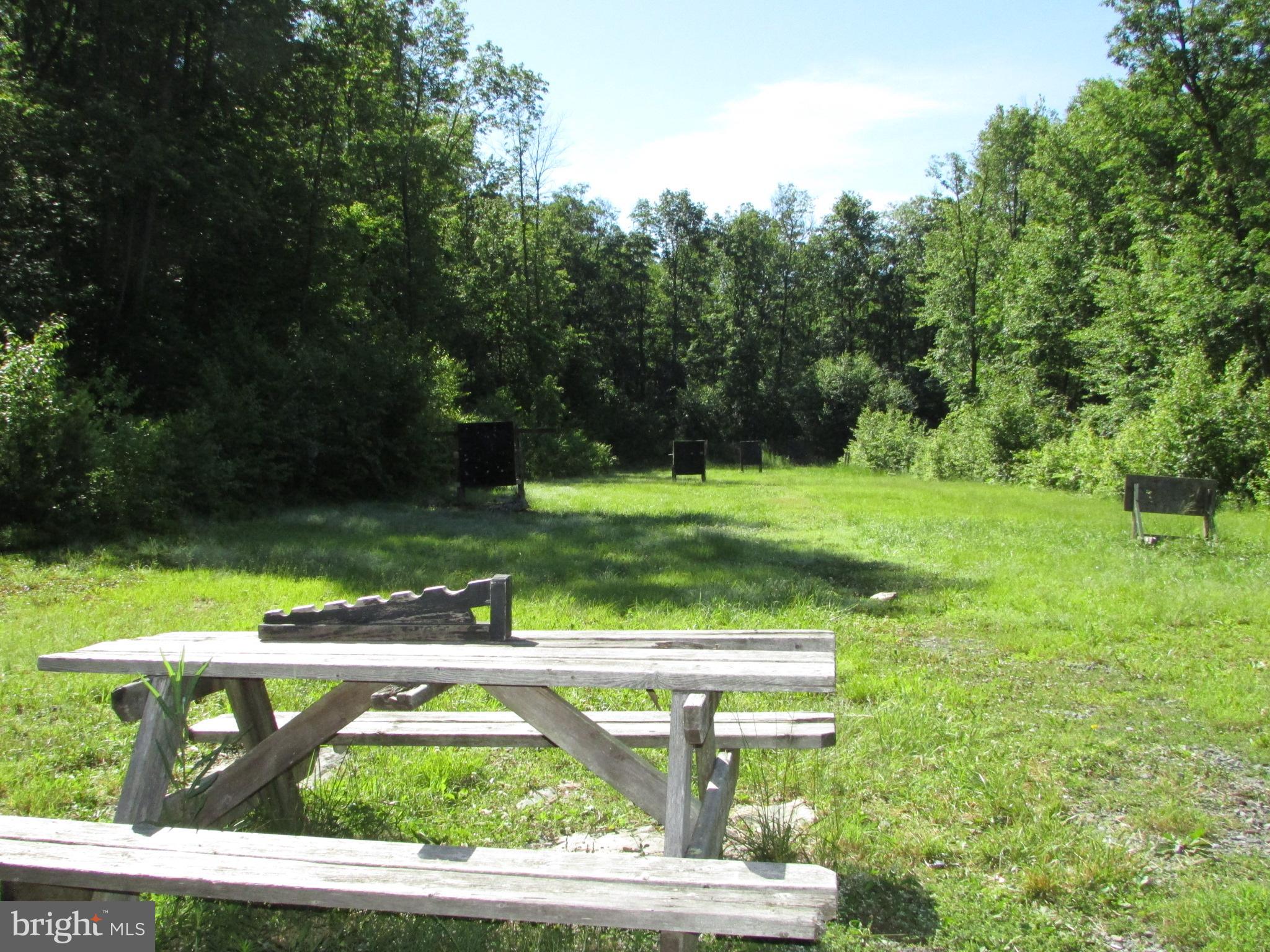 293 SNOW SHOE MOUNTAIN FOREST ROAD